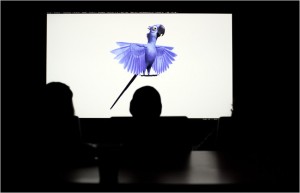 Eerste blik op de computeranimatie in de animatiefilm Rio
