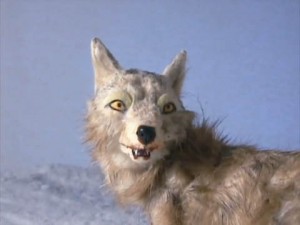 Afbeelding uit de videoclip Coyote