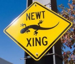 Een verkeersbord voor Newt op de campus van Pixar